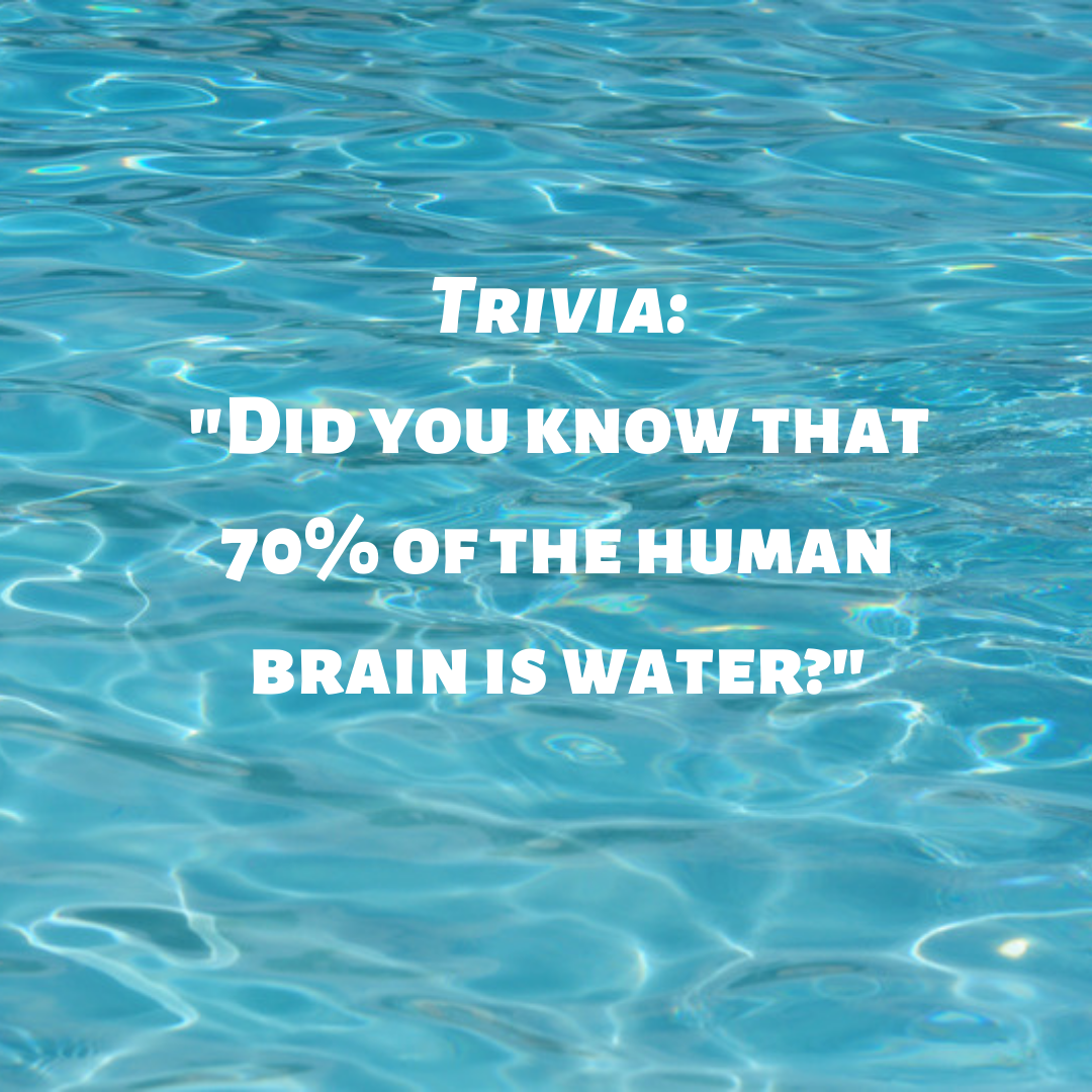 the human brain is water?