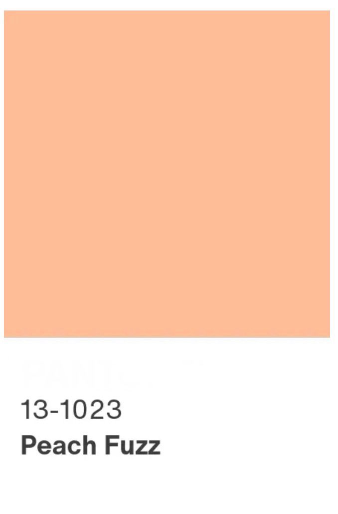 WhatsApp Image 2025 10 29 at 11.56.17 AM 2