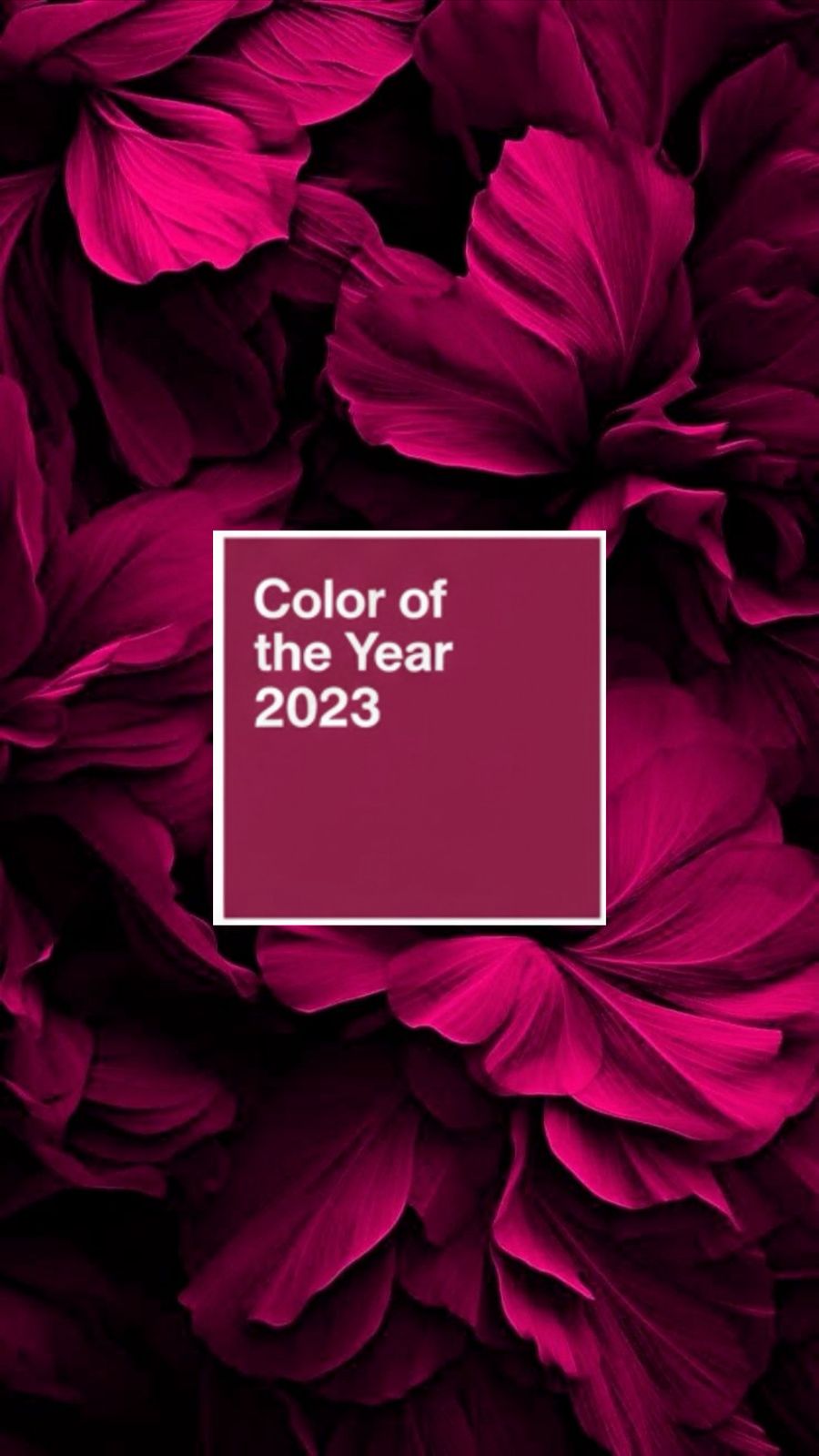 Color of the year 2023